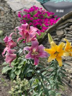 Karczma Michelle - 3