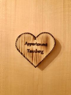Appartements Willi - Schoppernau - 6