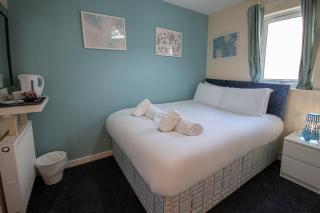 Irvine Riverside Guesthouse by Paymán Club - Irvine - 8