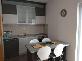 Apartment Park - Vrnjačka Banja - 3