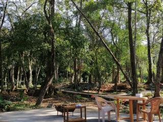 Vamoose Friendz Homestay - Sakleshpur - 6