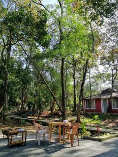 Vamoose Friendz Homestay - Sakleshpur - 1