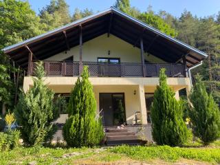 Nordic Villa Chiflika - Chiflik - 9