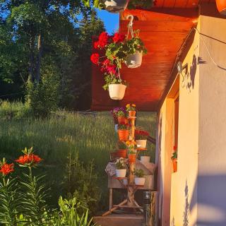 Cabana Creț - Ocoale - 2