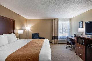 Comfort Inn N Myrtle Beach Barefoot Landing - Myrtle Beach - 1