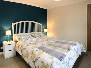 Maesyfelin Isaf Apartment - Llanybydder - 6