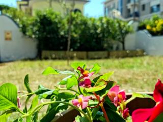 Villa Versilia - Lido di Camaiore - 7