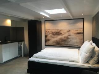 Centre beach lodge (2) - Zandvoort - 4
