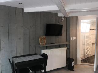Centre beach lodge (2) - Zandvoort - 7