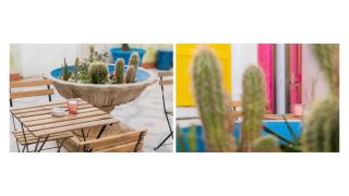 Light Pink - Suite in the middle of everything - 6