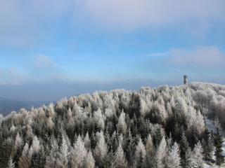 Hochwaldbaude - Hain - 9