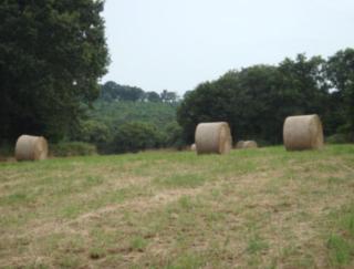 House - Sleeps 4 with Log Burner & Pet Friendly - 2