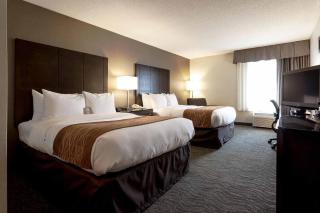 Best Western Chicago - Downers Grove - Downers Grove - 7