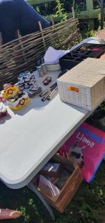 Glamping with Llamas - Wisbech - 5