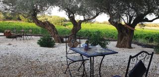 Agriturismo Su Barcu - Cala Gonone - 6