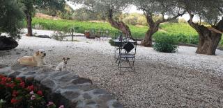 Agriturismo Su Barcu - Cala Gonone - 5