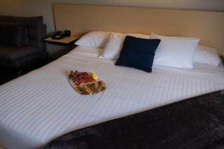 BV Hotel Atlixco - Atlixco - 1