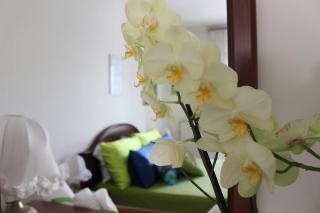 B&B Casa Ippolito Stabiae Coast - Castellammare di Stabia - 2