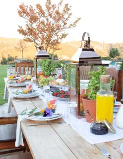 Hudson Manor - Entabeni, Knysna - Knysna - 4