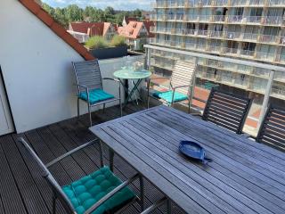 Ruim en zonnig 2 slaapkamer app met zongericht terras - Nieuwpoort - 9