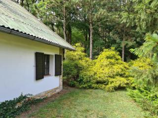 Domek w Lesie Bory Tucholskie - 8