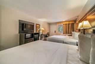 Best Western Inn of Jasper - Jasper - 2