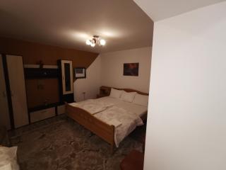 vila elly - Piatra Neamţ - 6