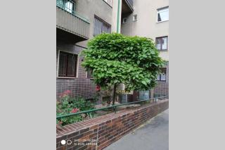 A Cosy Studio in the City Centre - Bratislava - 2