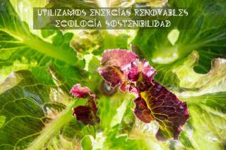 Tulpa Cádiz - Malcocinado - 8