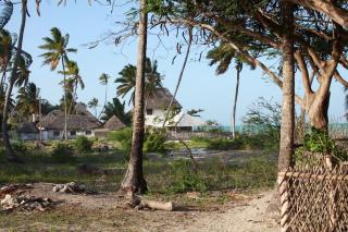 Jass Villa - Jambiani - 2