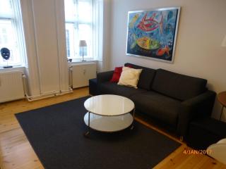 Viborggade - Copenaghen - 7