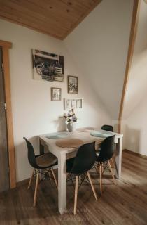 Apartament u Łowiszów - 1
