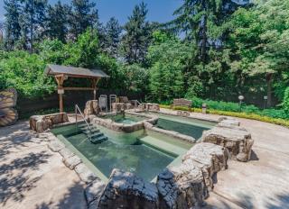 Spa Hotel Dvoretsa - Velingrad - 3