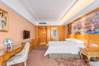 Vienna Hotel Foshan Airport - Foshan - 0