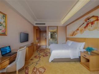 Vienna Hotel Huiyang Sanhe Square - 6