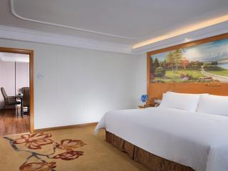 Vienna International Hotel Zhuhai Golden Phoenix - Zhuhai - 7