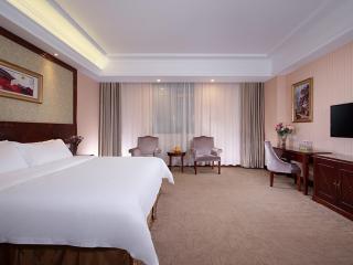 Vienna Hotel Guangzhou Panyu NanCun - Canton - 6