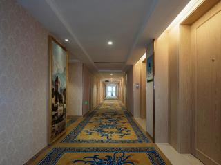 Vienna International Hotel (Jiaxing Nanhu Hotel) - Jiaxing - 3