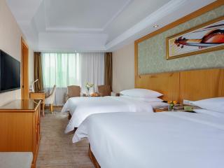 Vienna Hotel Yueyang Zhanqian Road - 6