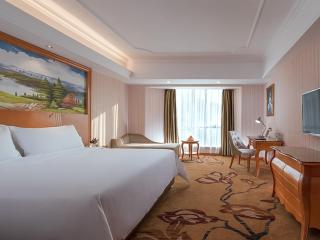 Vienna Hotel (Danxia Mountain Scenic Spot) - 7