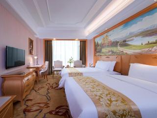 Vienna Hotel Guangdong Maoming Railway Station - Maoming - 7