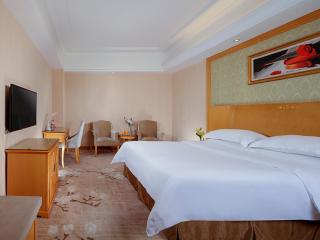 Vienna Hotel Yueyang Zhanqian Road - 1