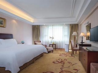 Vienna International Hotel Yangshuo West Street - Yangshuo - 3