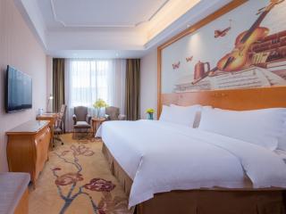 Vienna International Hotel Guangzhou Changlong Qifu Xincun - Guangzhou - 3