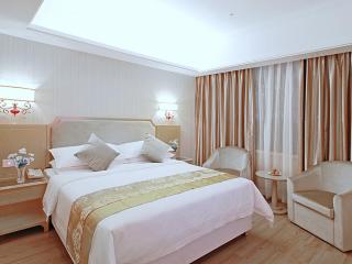 Vienna 3 Best Hotel Baise Zhongshan Road City Central - Baise - 3