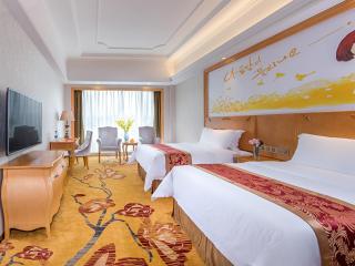 Vienna International Hotel Hunan Chenzhou Qingnian Avenue - Chenzhou - 2