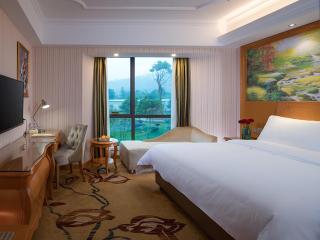 Vienna Hotel (Danxia Mountain Scenic Spot) - Renhua - 2
