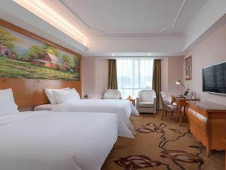 Vienna Hotel (Danxia Mountain Scenic Spot) - Renhua - 1