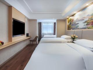 Vienna International Hotel Jingdezheng People Square - Jingdezhen - 7