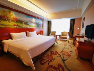 Vienna Hotel Shaoguan Wuli Pavilion - Shaoguan - 9